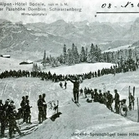 Boedele Alpenhotel Ξενοδοχείο 3*