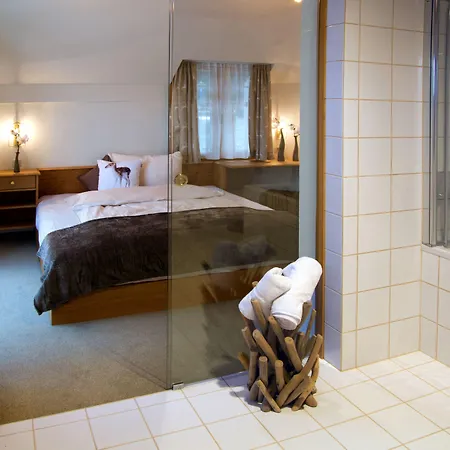 Boedele Alpenhotel 3*