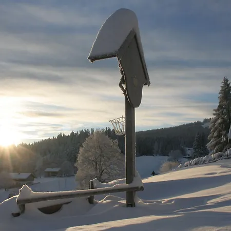 Boedele Alpenhotel 3*