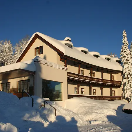 ホテル Boedele Alpenhotel 3*
