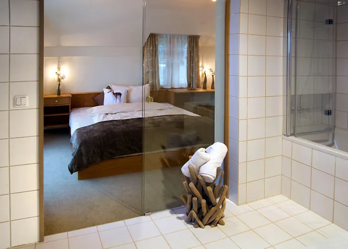 Boedele Alpenhotel 3*