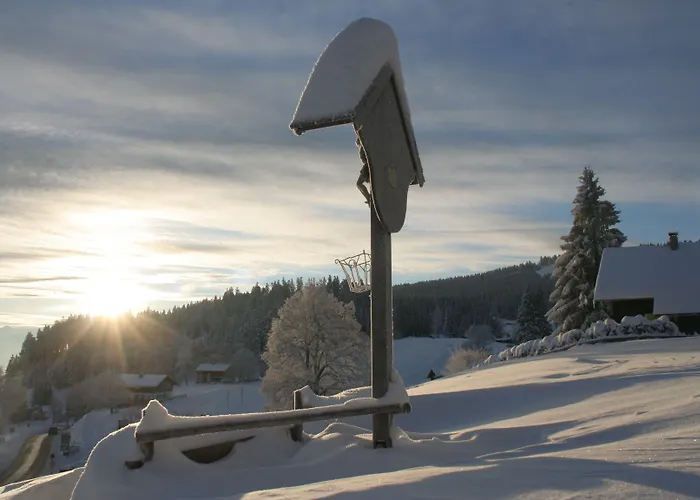 Boedele Alpenhotel 3*